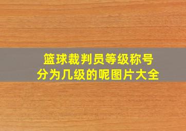 篮球裁判员等级称号分为几级的呢图片大全