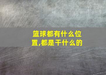 篮球都有什么位置,都是干什么的