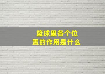 篮球里各个位置的作用是什么