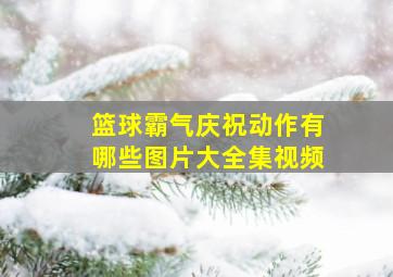 篮球霸气庆祝动作有哪些图片大全集视频