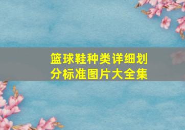 篮球鞋种类详细划分标准图片大全集