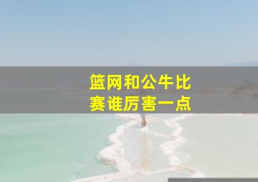 篮网和公牛比赛谁厉害一点