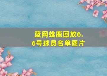 篮网雄鹿回放6.6号球员名单图片