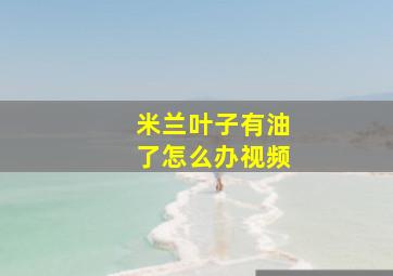 米兰叶子有油了怎么办视频