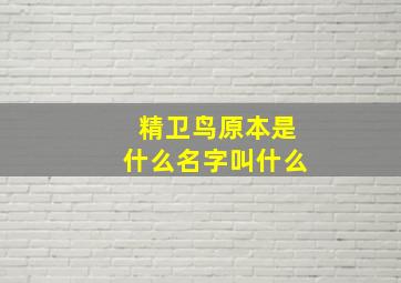 精卫鸟原本是什么名字叫什么