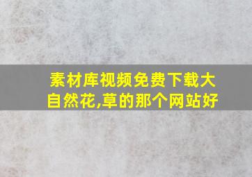 素材库视频免费下载大自然花,草的那个网站好