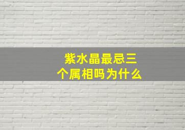 紫水晶最忌三个属相吗为什么