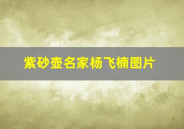 紫砂壶名家杨飞楠图片