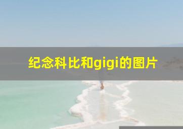 纪念科比和gigi的图片