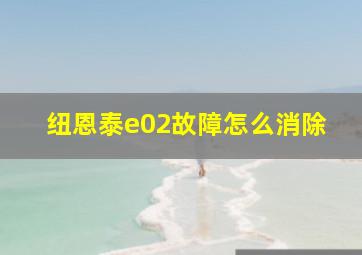 纽恩泰e02故障怎么消除