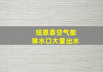 纽恩泰空气能排水口大量出水