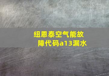 纽恩泰空气能故障代码a13漏水