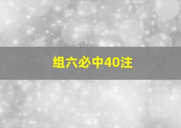 组六必中40注