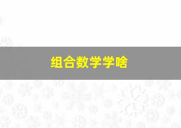 组合数学学啥