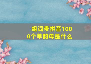 组词带拼音1000个单韵母是什么