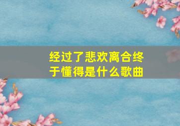 经过了悲欢离合终于懂得是什么歌曲