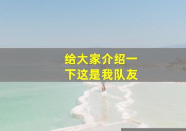 给大家介绍一下这是我队友