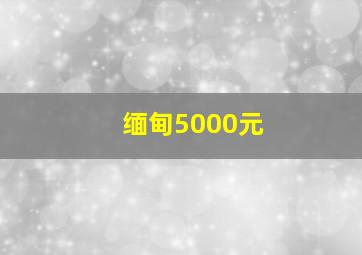 缅甸5000元