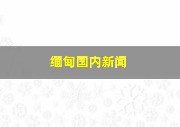 缅甸国内新闻