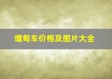 缅甸车价格及图片大全