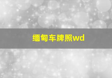 缅甸车牌照wd