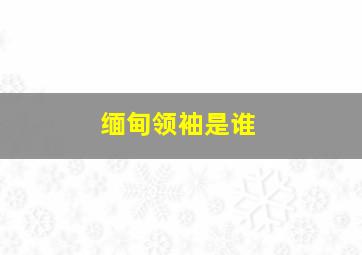 缅甸领袖是谁