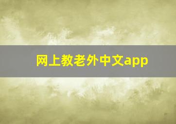 网上教老外中文app