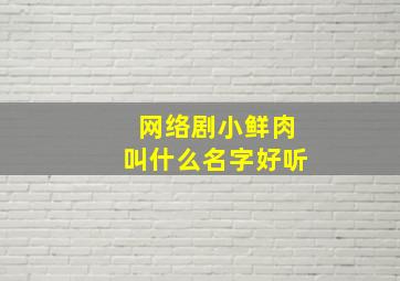 网络剧小鲜肉叫什么名字好听