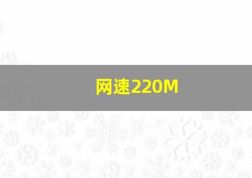 网速220M