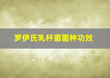 罗伊氏乳杆菌菌种功效