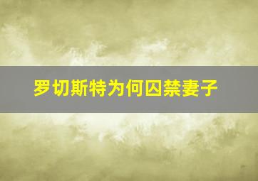 罗切斯特为何囚禁妻子