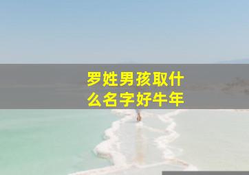 罗姓男孩取什么名字好牛年