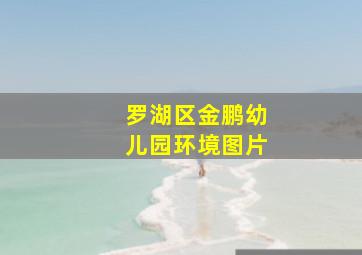 罗湖区金鹏幼儿园环境图片