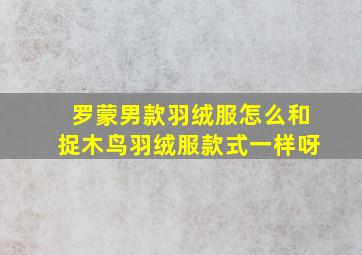 罗蒙男款羽绒服怎么和捉木鸟羽绒服款式一样呀