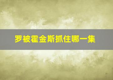 罗被霍金斯抓住哪一集