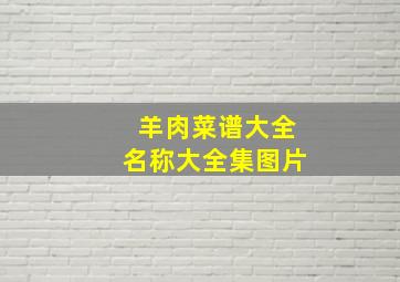 羊肉菜谱大全名称大全集图片