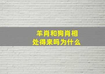 羊肖和狗肖相处得来吗为什么