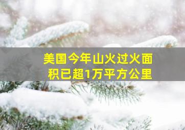 美国今年山火过火面积已超1万平方公里