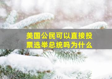 美国公民可以直接投票选举总统吗为什么