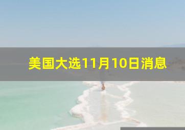 美国大选11月10日消息