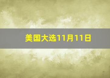 美国大选11月11日