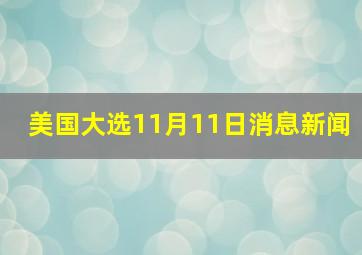 美国大选11月11日消息新闻