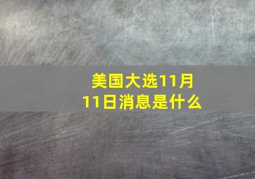 美国大选11月11日消息是什么