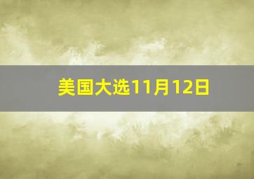 美国大选11月12日