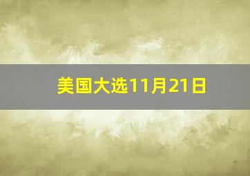 美国大选11月21日