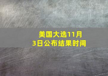 美国大选11月3日公布结果时间