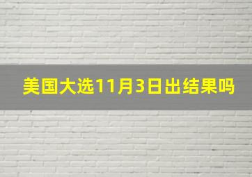 美国大选11月3日出结果吗