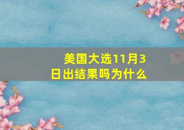 美国大选11月3日出结果吗为什么