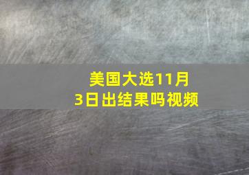 美国大选11月3日出结果吗视频