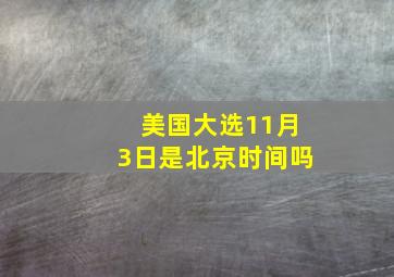 美国大选11月3日是北京时间吗